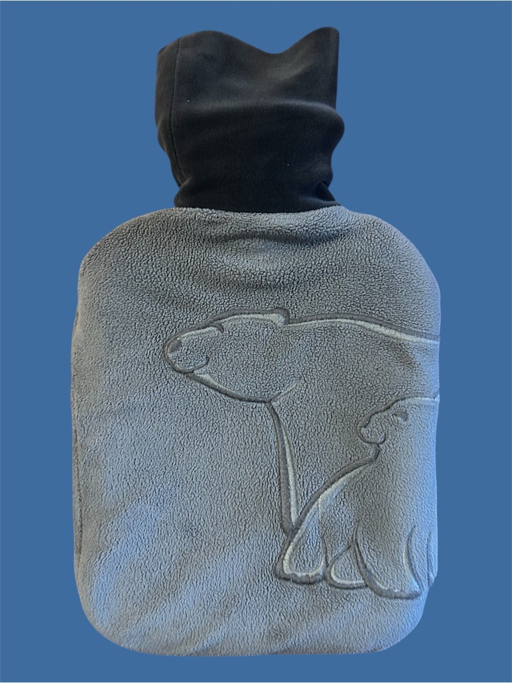 Water bottle with removable cover